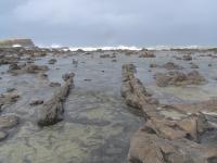 Albums/20060200-New Zealand 2006/20060313-Catlins/23